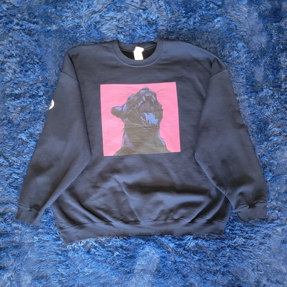 Other - Panther Sweatshirt